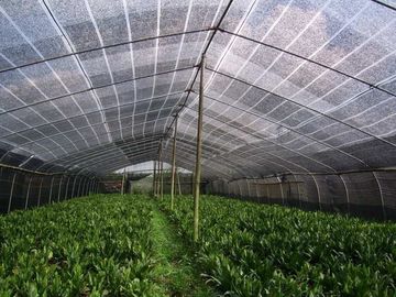 Raschel 고속 편물기, 온실 농업 식물성 순수한 만들기 기계