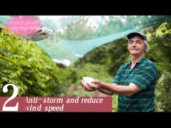 반대론자 - 방충망은 순수한 제조기 콤퓨터화된 조종을 녹색으로 만듭니다