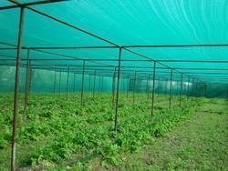고생산성 HDPE 녹색 그림자 네트워크 공급자 기계 다른 특징과 오픈 캠 기어
